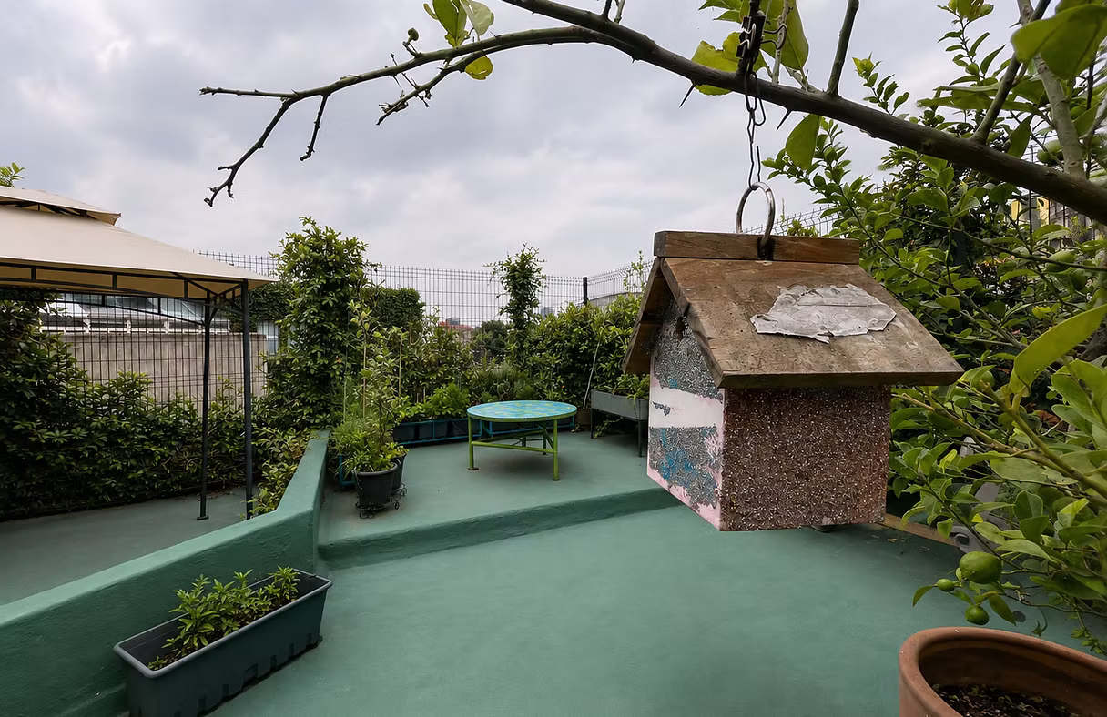 vegetable garden