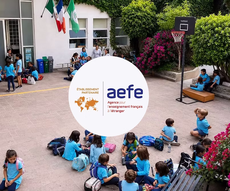 AEFE (Agency for French Education Abroad)