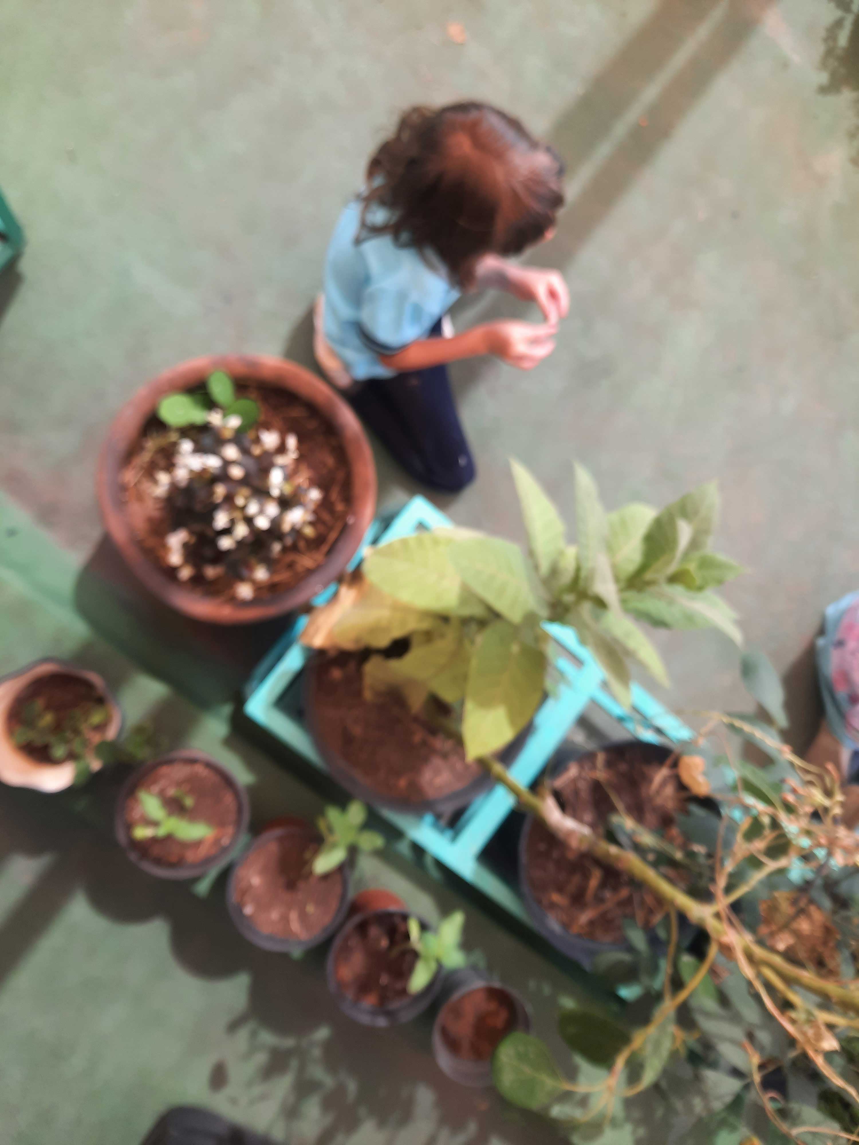 life, education, ecology